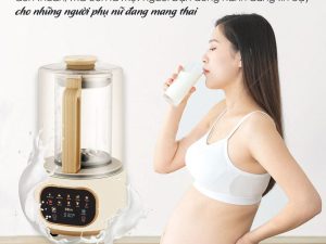 Máy Làm Sữa Hạt E500
