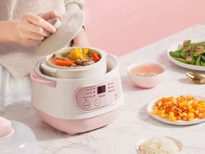 Nồi Nấu Cháo Chậm Nấu Món Hầm Kho Cá Chưng Yến GT68