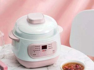 Nồi Nấu Cháo Chậm Nấu Món Hầm Kho Cá Chưng Yến SEKA GT68