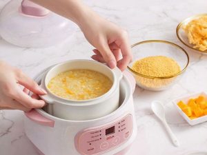 Nồi Nấu Cháo Chậm SEKA GT68