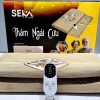 Ưu Điểm Của Thảm – Đệm Ngải Cứu Cắm Điện SEKA SK6TM