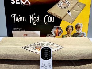 Ưu Điểm Của Thảm – Đệm Ngải Cứu Cắm Điện SEKA SK6TM